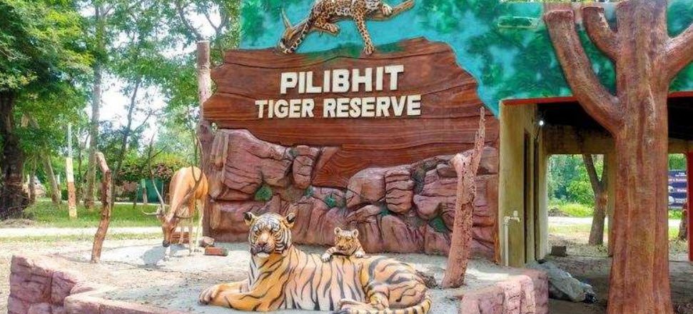 Pilibhit Wildlife Sanctuary, Pilibhit, Uttar Pradesh - Vushii.com